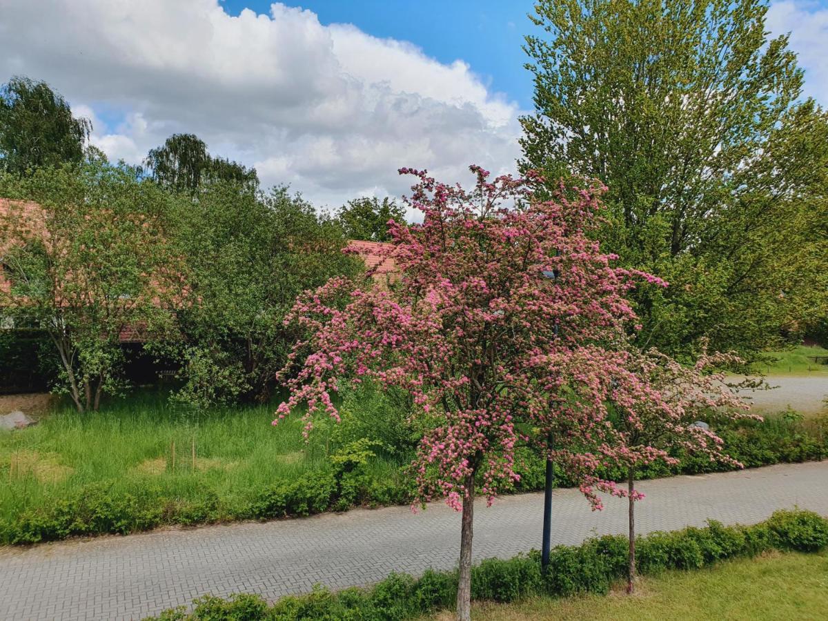 Ferienhaus Hase Villa Бург Екстериор снимка