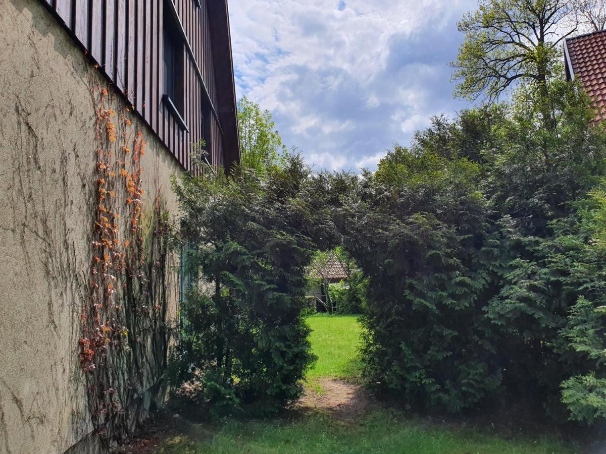 Ferienhaus Hase Villa Бург Екстериор снимка